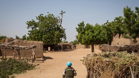 15 Tentara Tewas Dalam Serangan Terkoordinasi Jihadis Di Mali